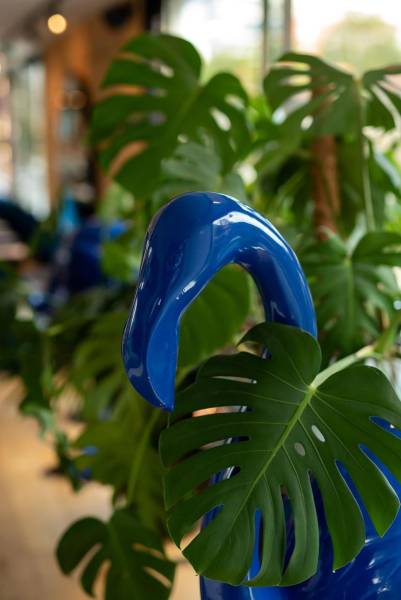 Le Restaurant Blue Flamingo à Strasbourg - Cuisine moderne et créative