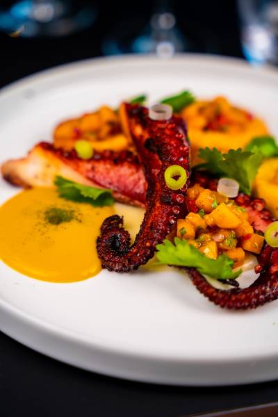 Dînez au Blue Flamingo : un des meilleurs restaurants de Strasbourg recommandé par le Guide Michelin et le Gault et Millau à Strasbourg