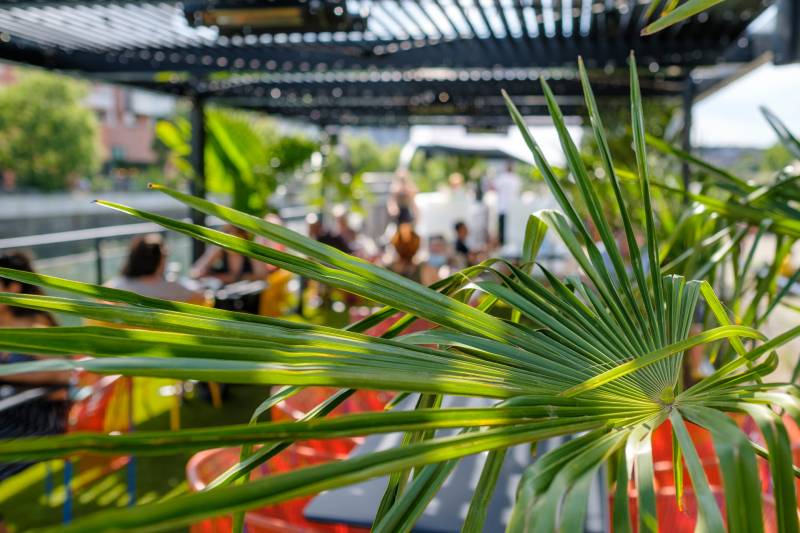 Le Restaurant Blue Flamingo est une adresse incontournable à Strasbourg